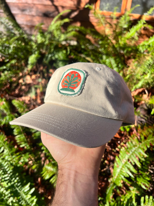 Cactus Patch Cap